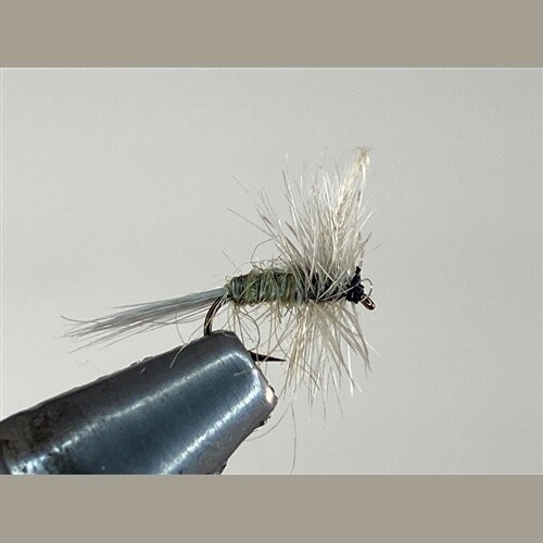 BLUE WINGED OLIVE DRY