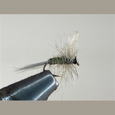 BLUE WINGED OLIVE DRY