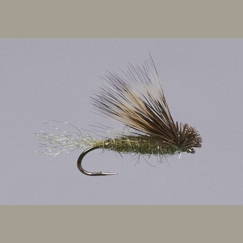 SPARKLE X CADDIS - OLIVE