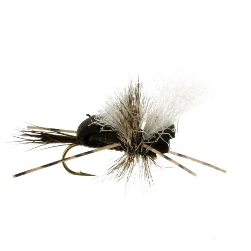 HIPPIE STOMPER - BLACK