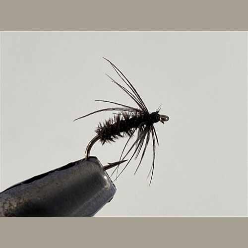 BLUE EARED PT &amp; STARLING SOFT HACKLE