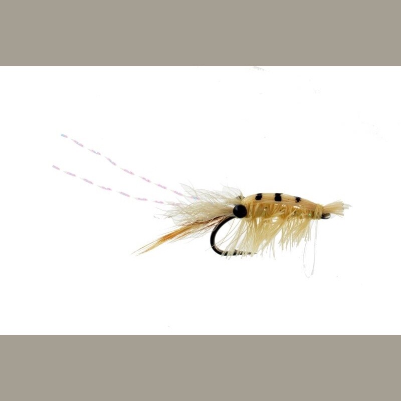 BANDED SHRIMP - TAN