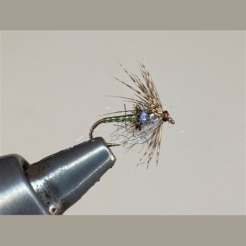 TUNGSTEN BEAD SWING NYMPH