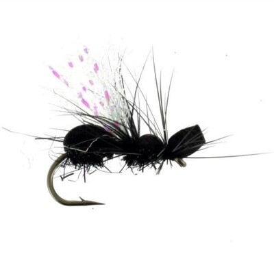 BJORN&#39;S FLYING ANT