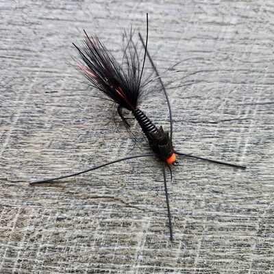 EGG SUCKIN STONEFLY NYMPH