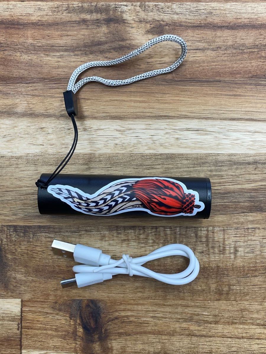 MINI RECHARGEABLE UV LIGHT