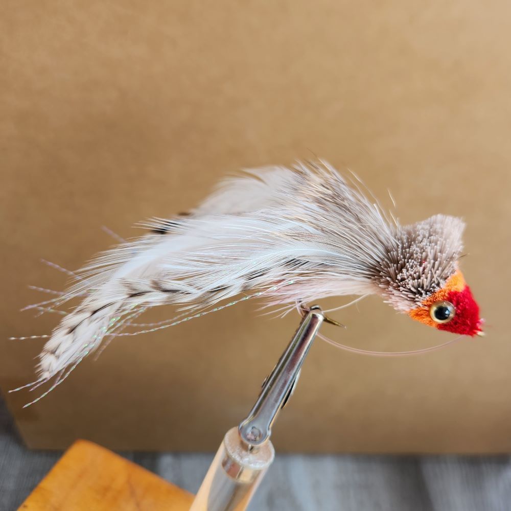 SWIMMING BAITFISH #4 MULTICOLOR