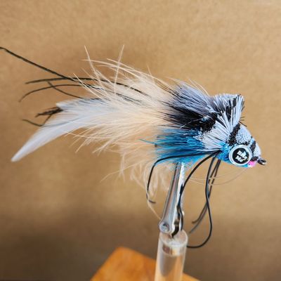 BITE ME DIVER #2 BLUE &amp; GREY