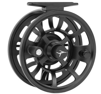ECHO ION REEL