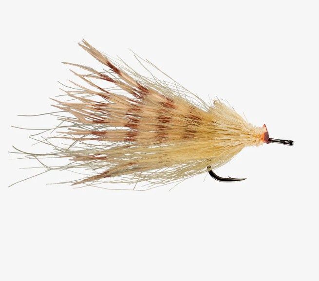 DREAD PIRATE #1/0, PATTERN: TAN