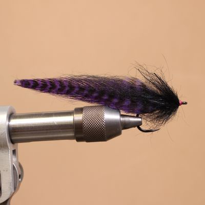 B SMO's SALTY MINNOW