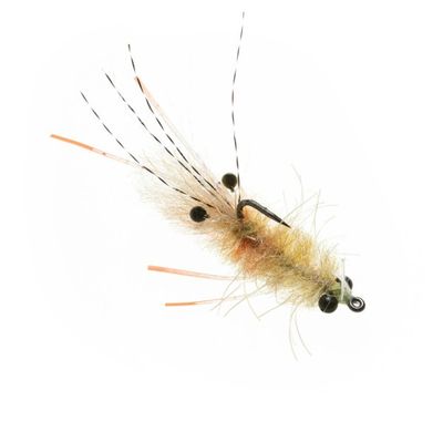 EP MANTIS SHRIMP #1 TAN