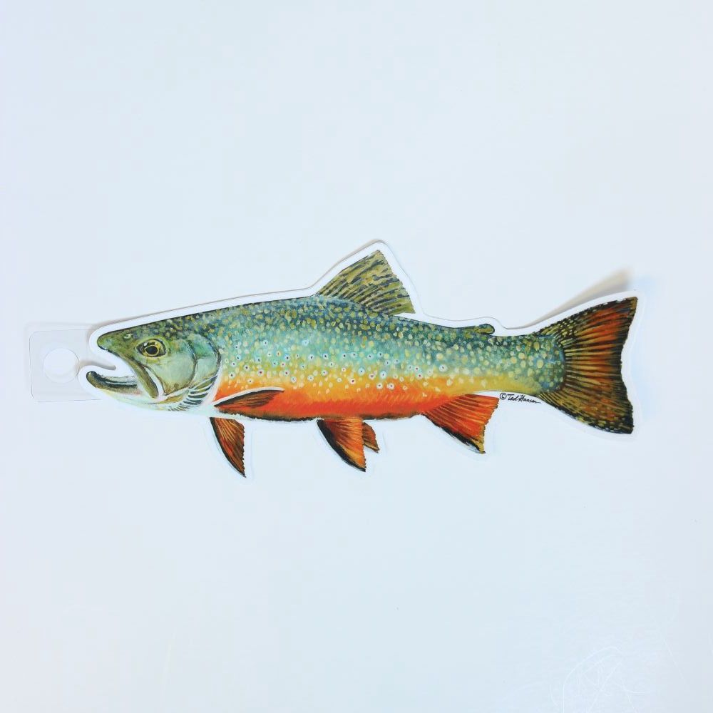 TED HANSEN DECALS, TYPE: BROOKIE 7"
