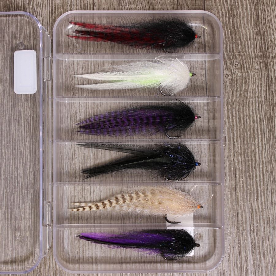 SALTY MINNOW 6pk ASSORTMENT
