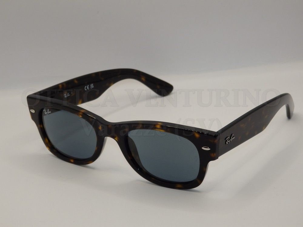 MEGA WAYFARER II MEGA WAYFARER II