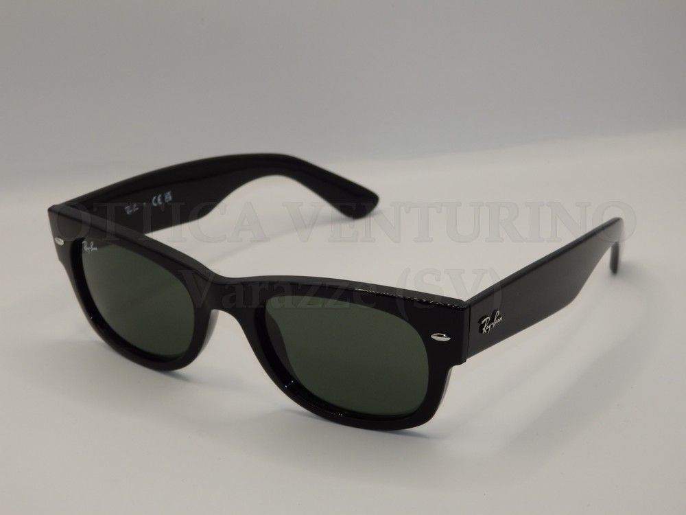 MEGA WAYFARER II