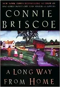 A Long Way from Home by Connie Briscoe