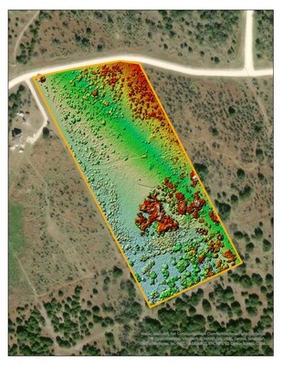 Digital Surface Model (DSM) Shaded Relief