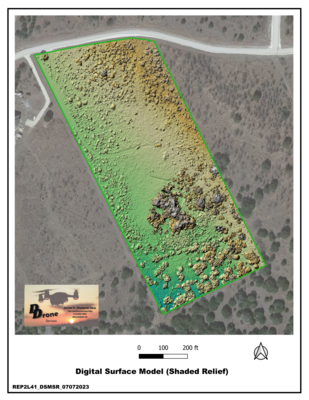 Digital Surface Model (DSM) Shaded Relief