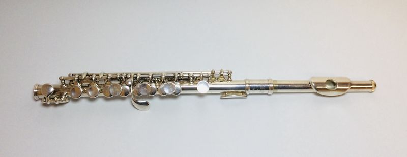 Selmer PC310 piccolo *used* Selmer PC310 piccolo *used*
