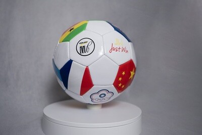 Just Wish World Team Soccer Ball