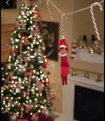 Christmas Collection