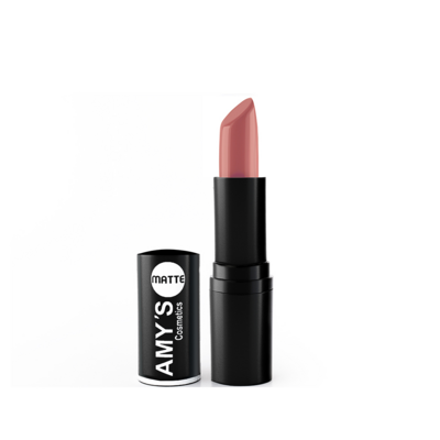 AMY’S Matte Lipstick No 301
