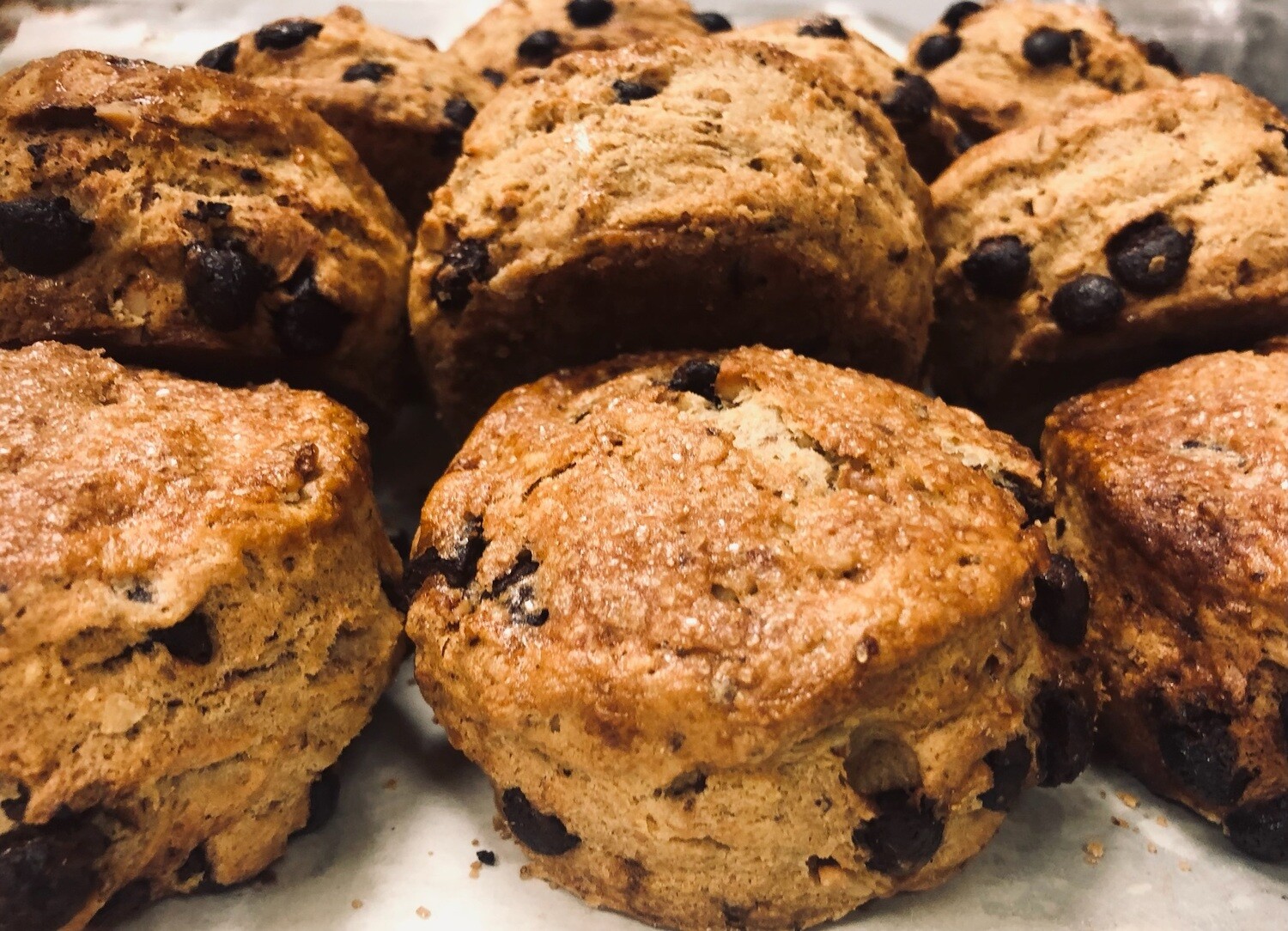 Chocolate Walnut Scone