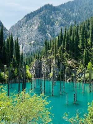 ​Tour to Kolsay lake, Kaindy lake, Charyn canyon