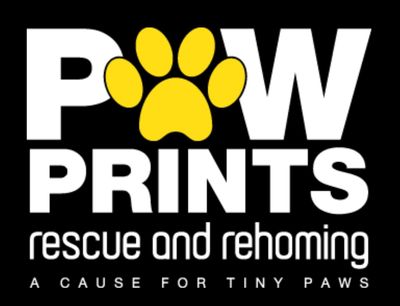 Paw Prints - Support a good cause.