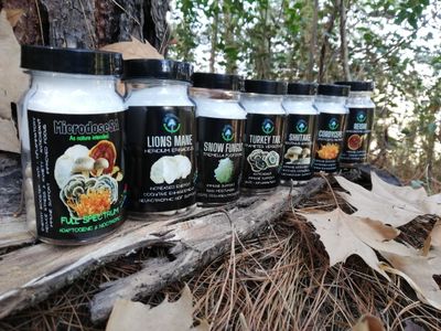 Stock Our Products ...