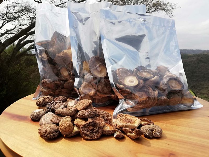 Shiitake