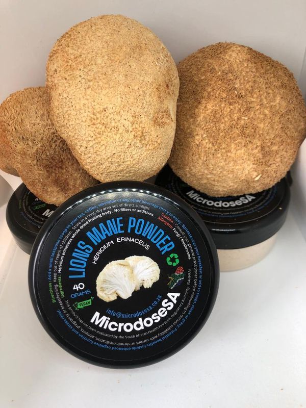 Lions Mane Powder