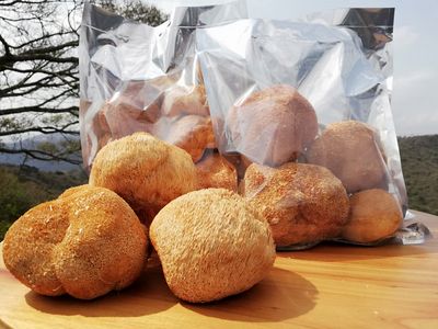 Whole Dried Mushrooms