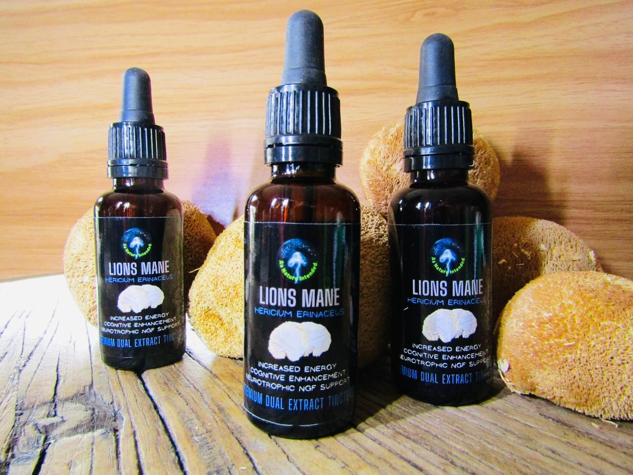 Lions Mane Premium