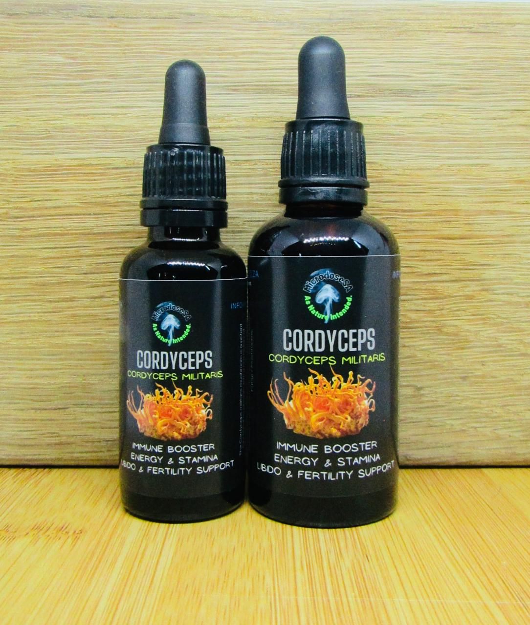 Cordyceps