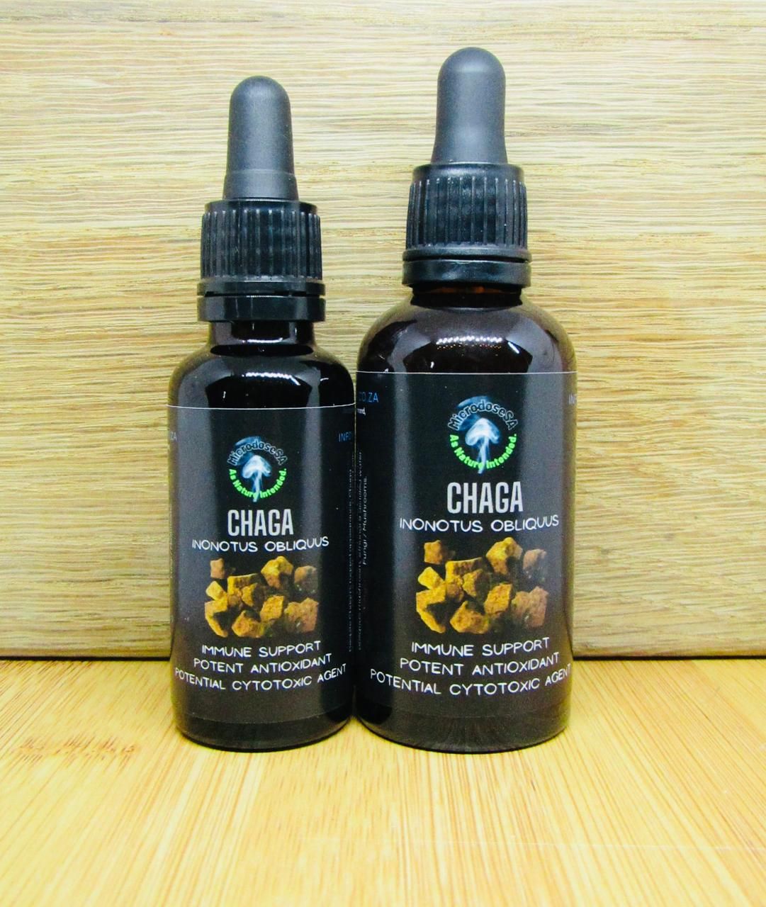 Chaga