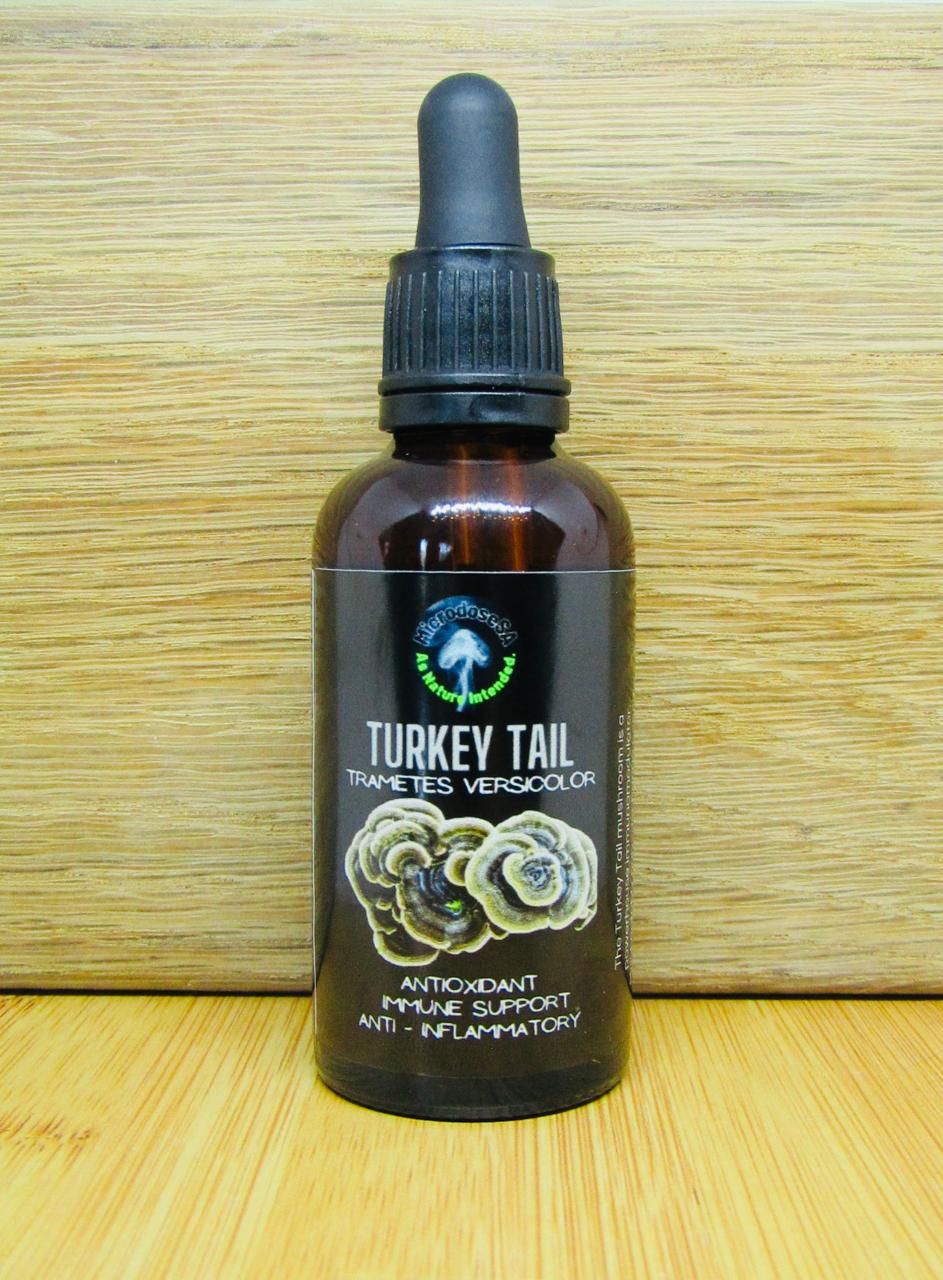 Turkey Tail