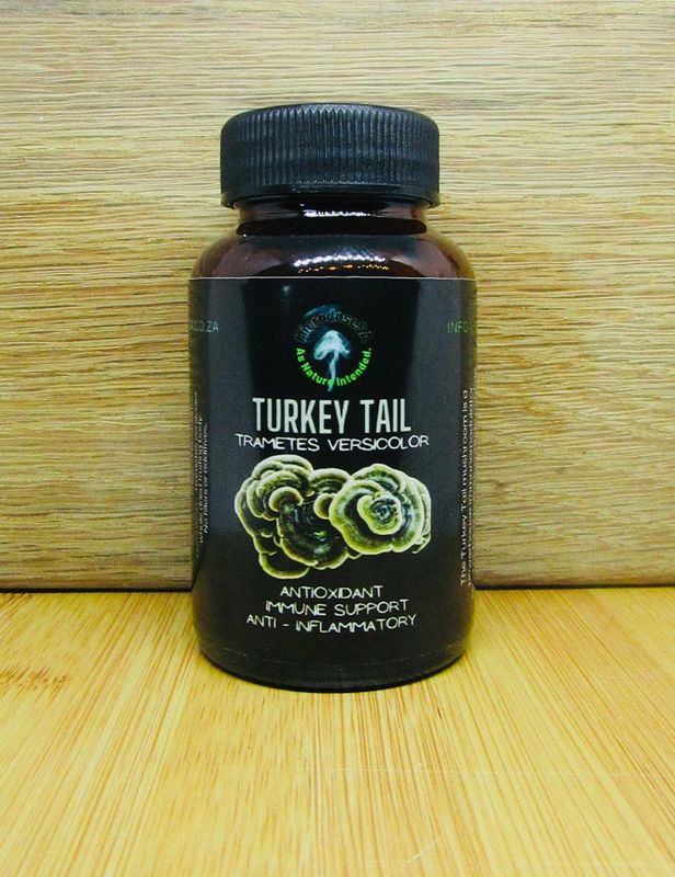 Turkey Tail