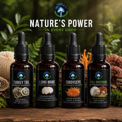 Medicinal Mushroom Tinctures