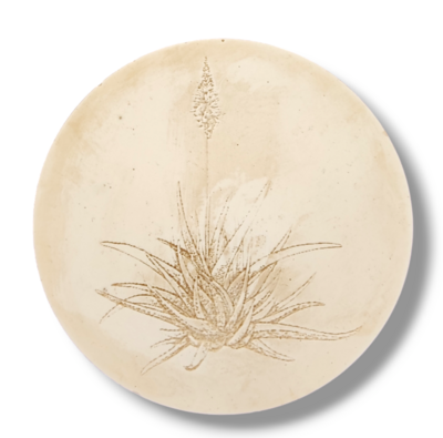 Silicone Mold Aloe Design Coaster 
