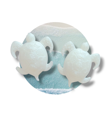 3d Printed Turtles (2pcs)