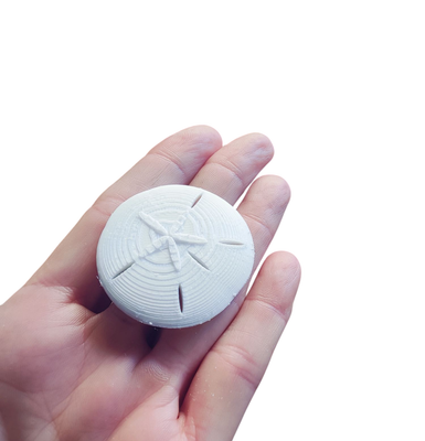 Sand Dollar Resin Inserts (3pcs)