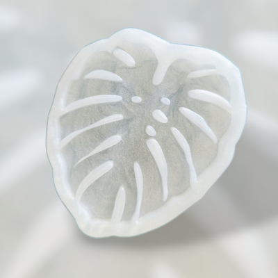Monstera Leaf Coaster Silicone Mold