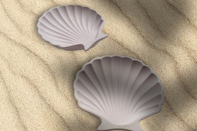 Shell Trinket Silicone Mold