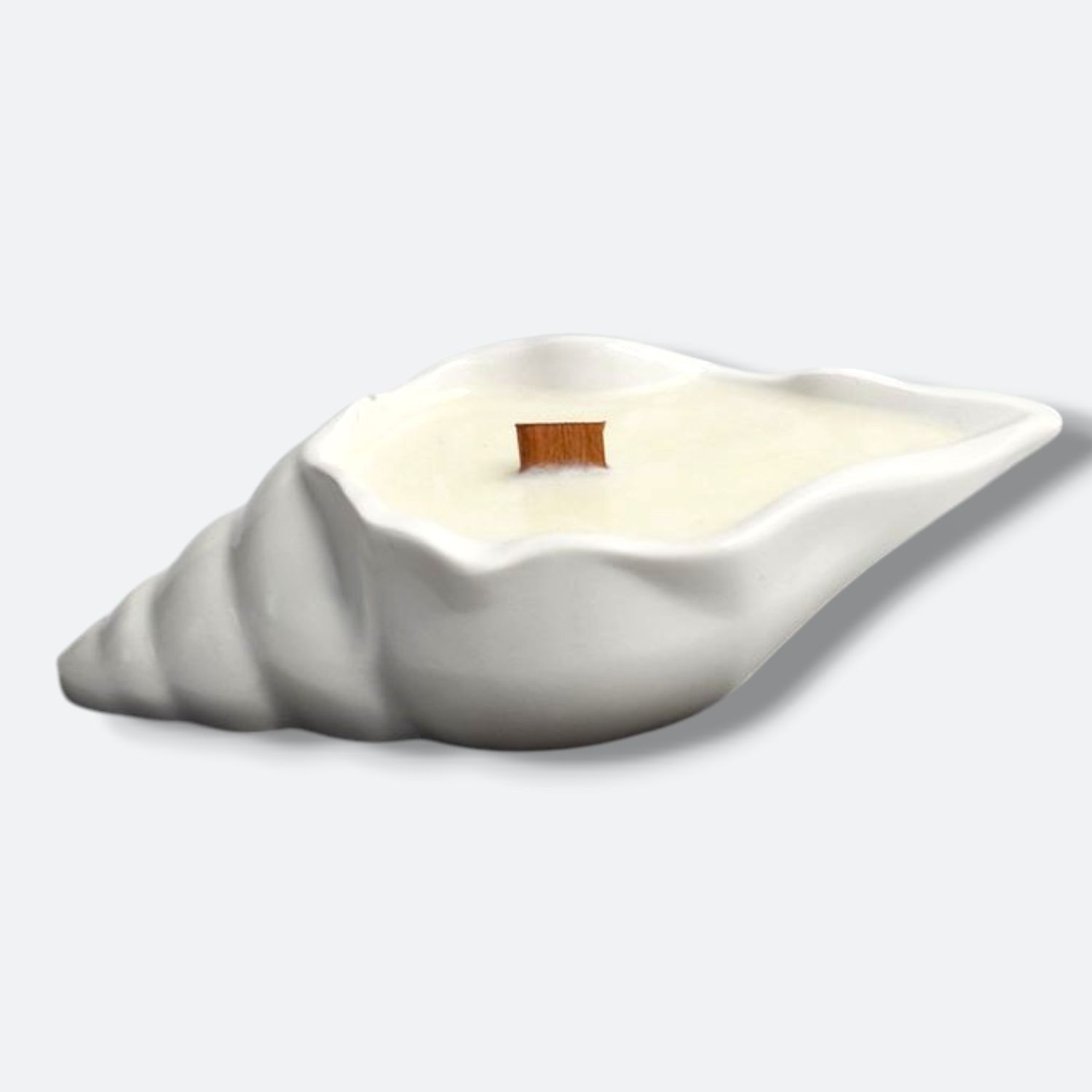 Shell Silicone Mold