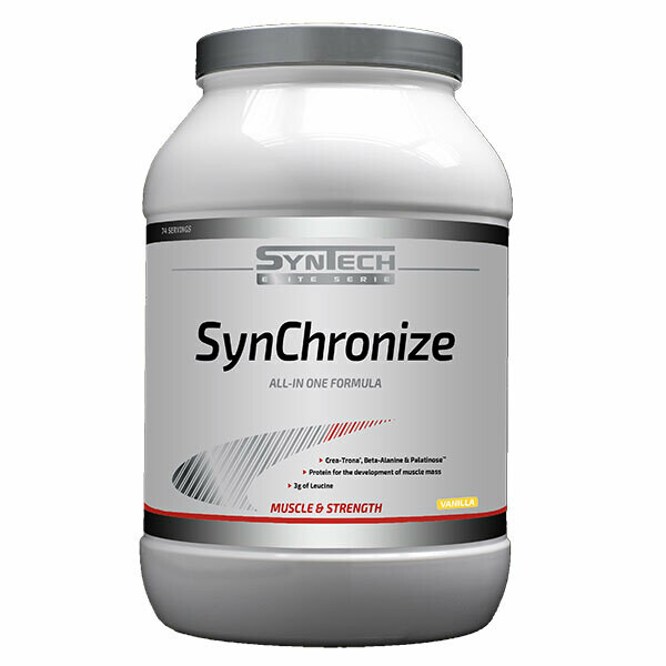 SynChronize