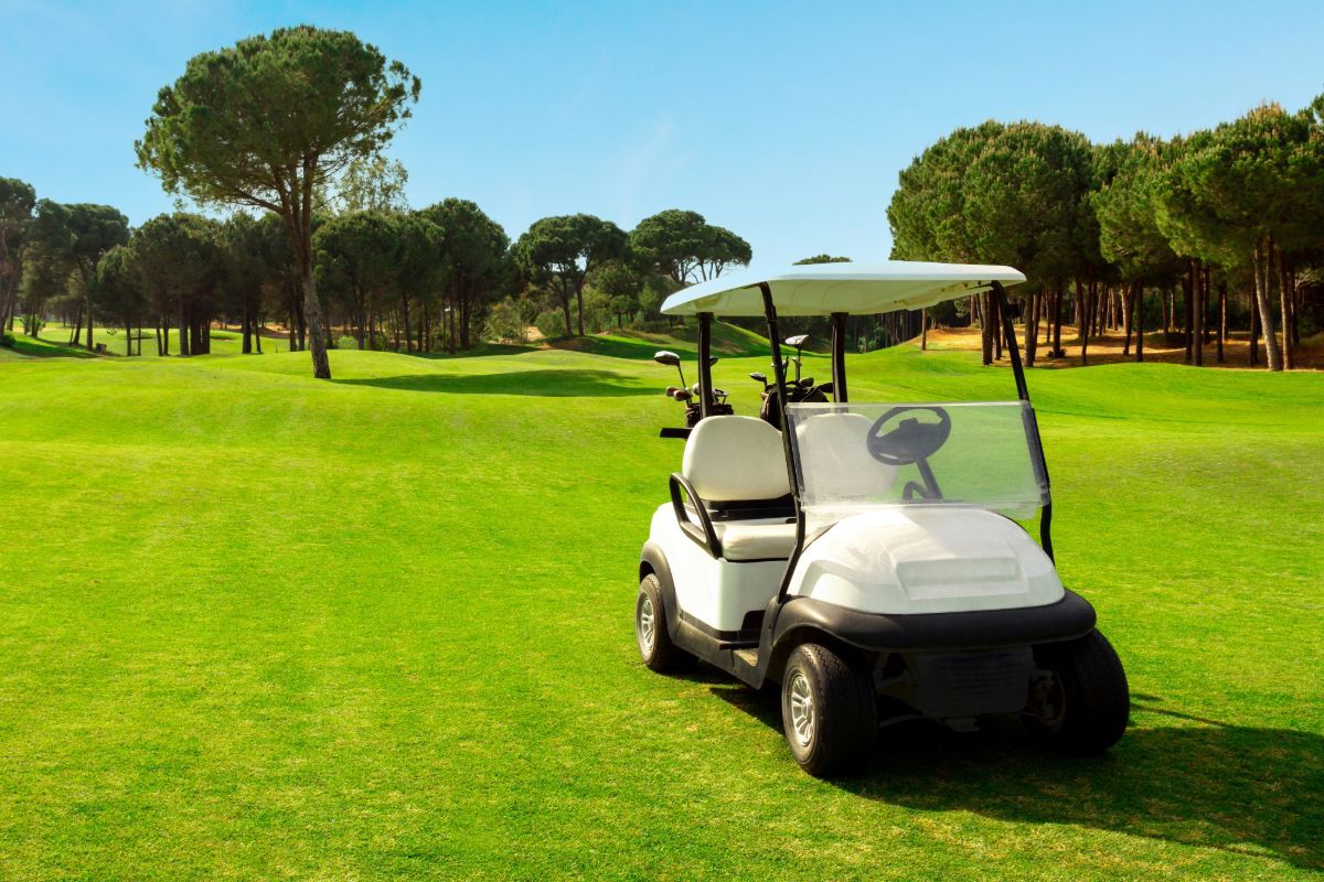 Yankee Doodle Dandy Golf Cart Sponsor