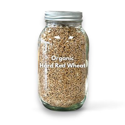 Hard Red Wheat Organic