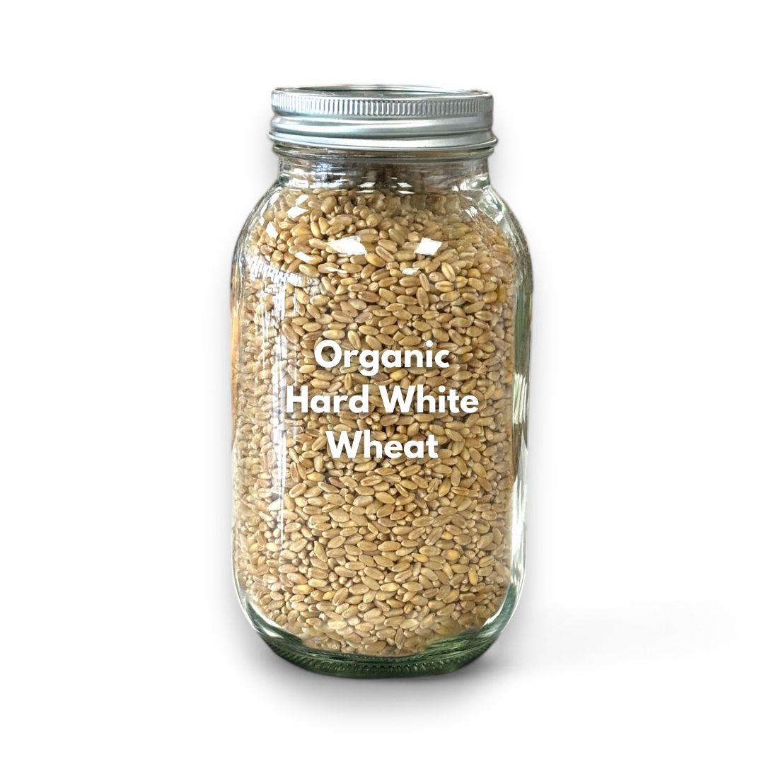 Hard White Wheat Organic